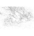 black grainy texture isolated on white vector image