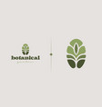 botanical plant logo template universal creative vector image vector image