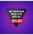 sale special offer vector image vector image