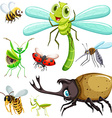 different kinds of insects vector image