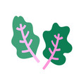 swiss rainbow chard isolated flat doodle vector image