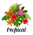 background with stylized tropical plants leaves vector image
