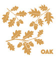 oak branch set vector image