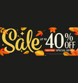 sale special offer up to 40 percent off autumn vector image