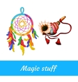 native american and shamanic magical supplies vector image
