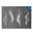 transparent smoke collection vector image vector image
