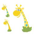giraffe heads vector image