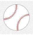 baseball sport design vector image