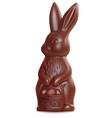 chocolate easter bunny on white 3d vector image