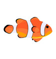 clown fish amphiprioninae icon isolated on white vector image