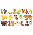 many wild animals on white background vector image