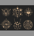 occult symbols set isolated vector image