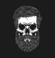 bearded skull on dark background design element vector image