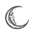 crescent moon in antique style hand drawn vector image