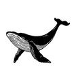 whale design element for poster card banner vector image vector image