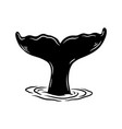 tail of whale in water design element for poster vector image vector image