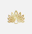 peacock logo design vector image vector image
