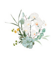 floral bouquet design element exotic vector image vector image
