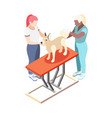 isometric vet vector image