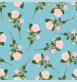 pink rose bouquet on blue background vector image