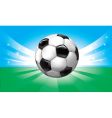soccer ball vector image