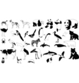 black and white animals vector image vector image