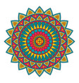 color floral mandala vector image