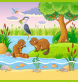 set with animals and nature in a children s vector image