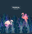 tropical background banner vector image vector image