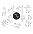 yoga pets dog set puppies go in for sports vector image