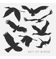 set of silhouettes of birds vector image vector image