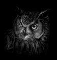 long-eared owl black and white graphic hand-drawn vector image vector image