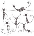 grey striped cats vector image
