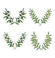 olive branch wreaths isolated on white vector image