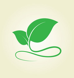 leaf icon vector image vector image