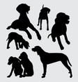viszla dog animal silhouette vector image