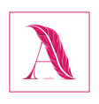 admire logo vector image