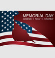 captain saluting the usa flag for memorial day vector image vector image