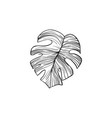 silver cloud monstera hand drawn vector image
