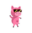 pink funny cartoon baby piglet in sunglasses cute vector image