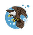 flying bald eagle vector image