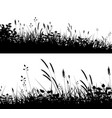 grassy foregrounds vector image