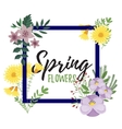flowers isolated vector image