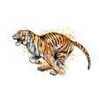 tiger running from a splash watercolor hand vector image vector image