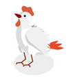 3d isometric flat set of chickens item 5 vector image