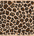 leopard seamless pattern african vector image
