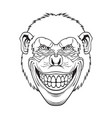 cool monkey vector image