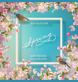 spring advertising banner vector image