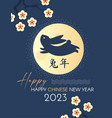 happy 2023 chinese new year the year of the rabbit vector image