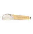 panopea generosa - pacific geoduck - side view vector image vector image